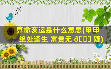 算命亥运是什么意思(甲申绝处逢生 富贵无 🐕 疑)